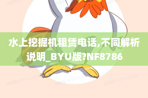 水上挖掘机租赁电话,不同解析说明_BYU版?NF8786