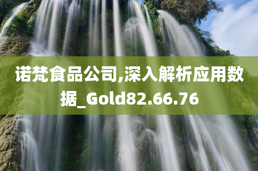 诺梵食品公司,深入解析应用数据_Gold82.66.76