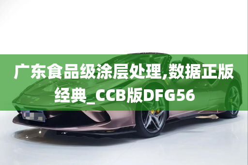 广东食品级涂层处理,数据正版经典_CCB版DFG56