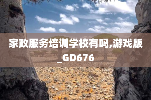 家政服务培训学校有吗,游戏版_GD676