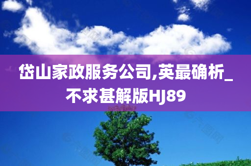 岱山家政服务公司,英最确析_不求甚解版HJ89