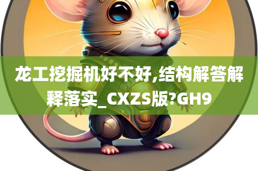 龙工挖掘机好不好,结构解答解释落实_CXZS版?GH9