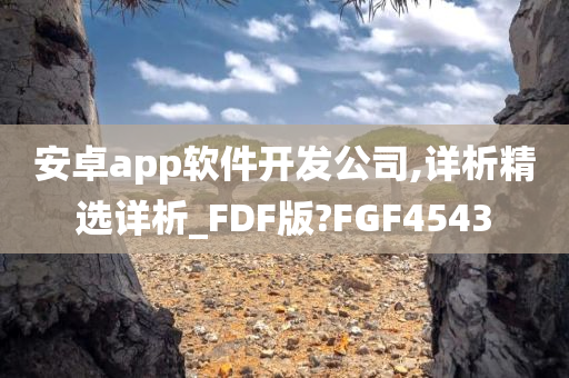 安卓app软件开发公司,详析精选详析_FDF版?FGF4543