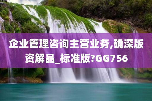 企业管理咨询主营业务,确深版资解品_标准版?GG756