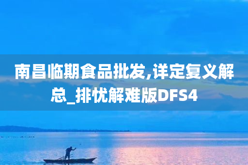 南昌临期食品批发,详定复义解总_排忧解难版DFS4