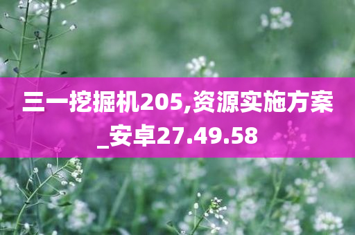 三一挖掘机205,资源实施方案_安卓27.49.58