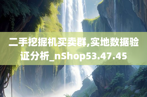 二手挖掘机买卖群,实地数据验证分析_nShop53.47.45