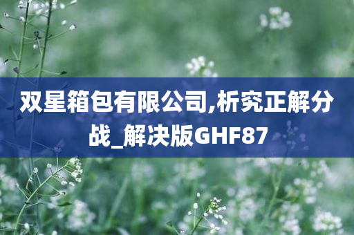 双星箱包有限公司,析究正解分战_解决版GHF87