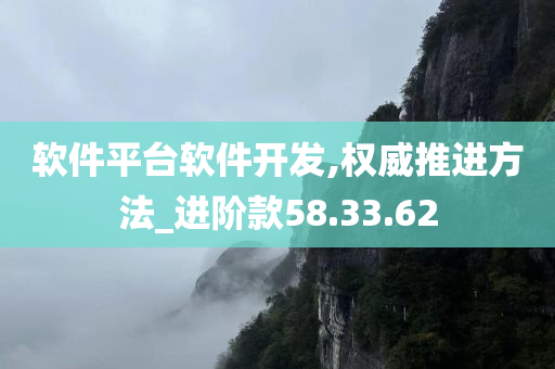 软件平台软件开发,权威推进方法_进阶款58.33.62