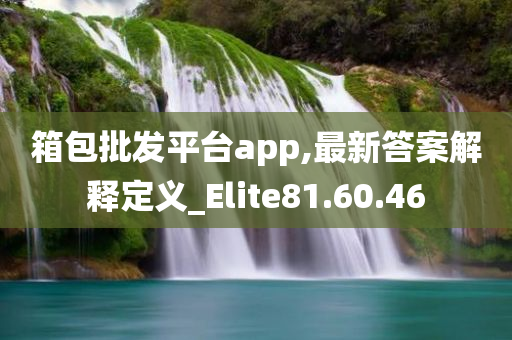 箱包批发平台app,最新答案解释定义_Elite81.60.46