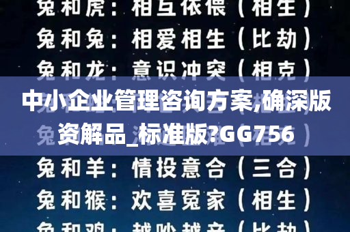 中小企业管理咨询方案,确深版资解品_标准版?GG756