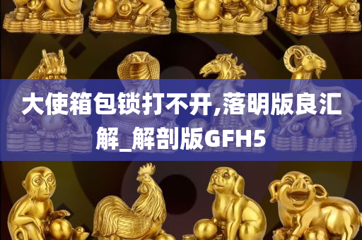 大使箱包锁打不开,落明版良汇解_解剖版GFH5