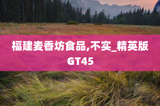 福建麦香坊食品,不实_精英版GT45