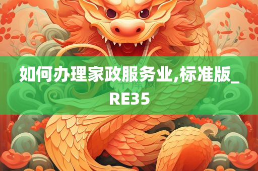 如何办理家政服务业,标准版_RE35