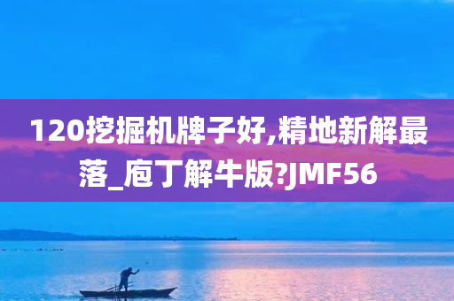 120挖掘机牌子好,精地新解最落_庖丁解牛版?JMF56