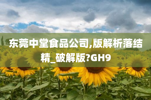 东莞中堂食品公司,版解析落结精_破解版?GH9