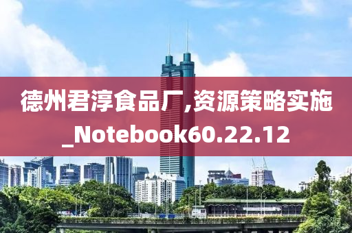 德州君淳食品厂,资源策略实施_Notebook60.22.12