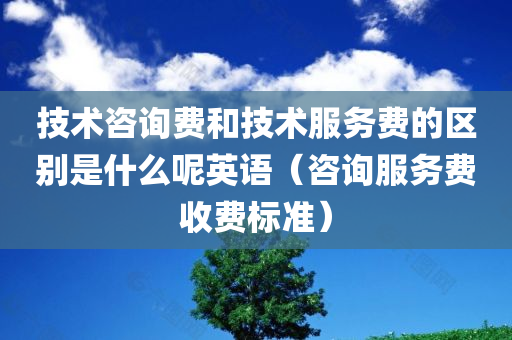 技术咨询费和技术服务费的区别是什么呢英语（咨询服务费收费标准）