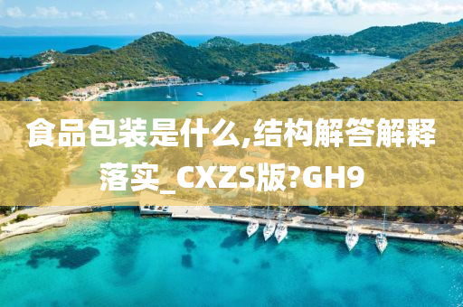 食品包装是什么,结构解答解释落实_CXZS版?GH9