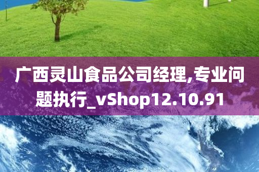 广西灵山食品公司经理,专业问题执行_vShop12.10.91