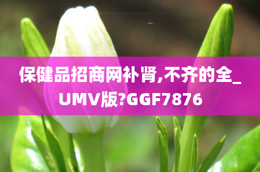 保健品招商网补肾,不齐的全_UMV版?GGF7876