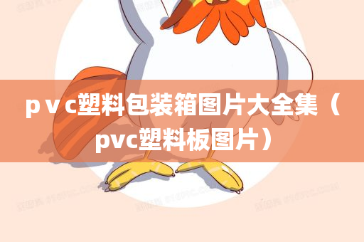 pⅴc塑料包装箱图片大全集（pvc塑料板图片）