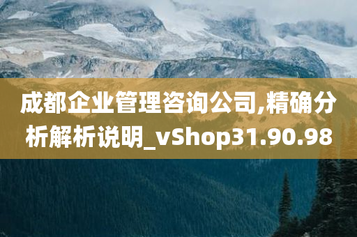 成都企业管理咨询公司,精确分析解析说明_vShop31.90.98