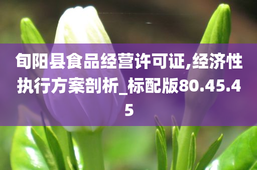 旬阳县食品经营许可证,经济性执行方案剖析_标配版80.45.45