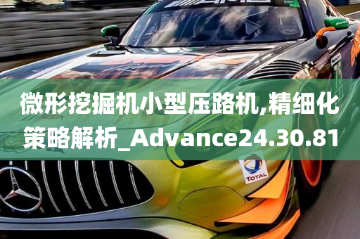 微形挖掘机小型压路机,精细化策略解析_Advance24.30.81