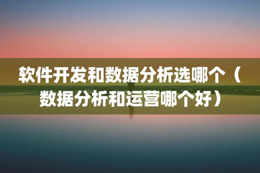 软件开发和数据分析选哪个（数据分析和运营哪个好）