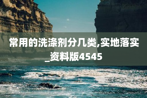 常用的洗涤剂分几类,实地落实_资料版4545