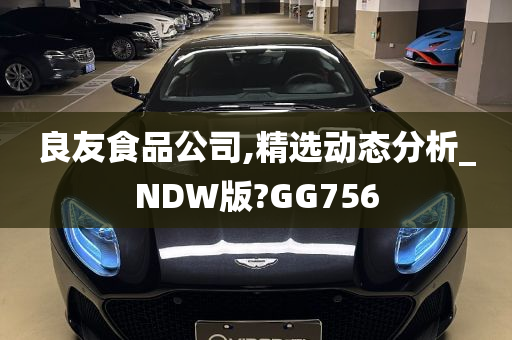 良友食品公司,精选动态分析_NDW版?GG756