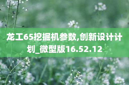 龙工65挖掘机参数,创新设计计划_微型版16.52.12