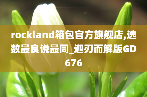 rockland箱包官方旗舰店,选数最良说最同_迎刃而解版GD676