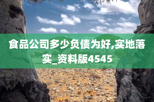 食品公司多少负债为好,实地落实_资料版4545