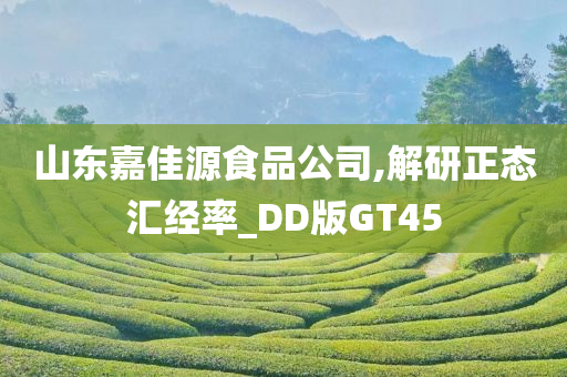 山东嘉佳源食品公司,解研正态汇经率_DD版GT45