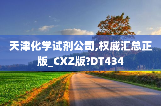 天津化学试剂公司,权威汇总正版_CXZ版?DT434