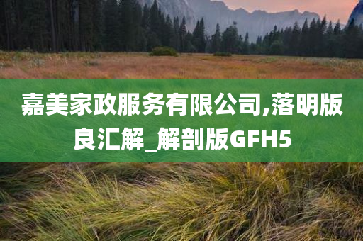 嘉美家政服务有限公司,落明版良汇解_解剖版GFH5