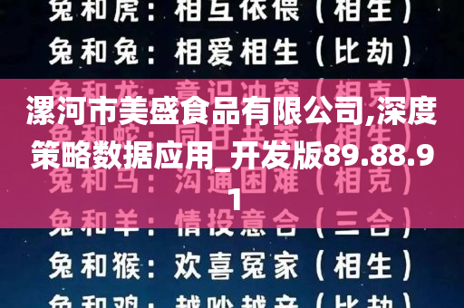 漯河市美盛食品有限公司,深度策略数据应用_开发版89.88.91