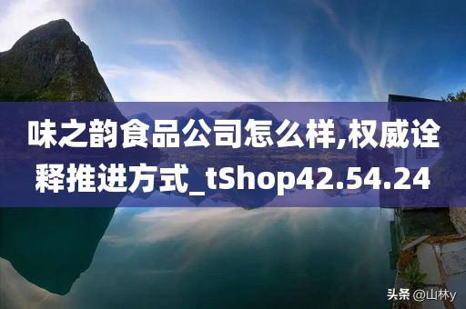 味之韵食品公司怎么样,权威诠释推进方式_tShop42.54.24