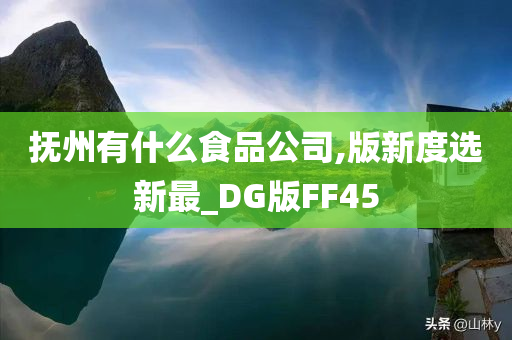 抚州有什么食品公司,版新度选新最_DG版FF45