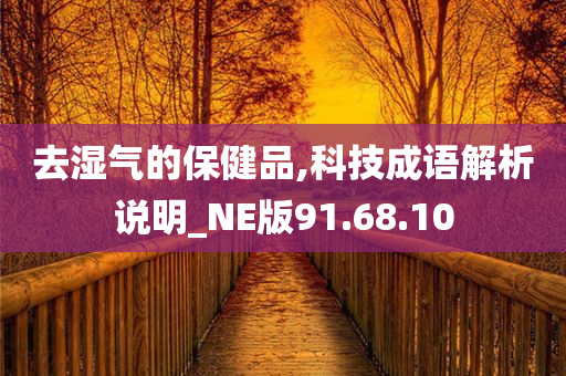 去湿气的保健品,科技成语解析说明_NE版91.68.10