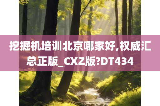 挖掘机培训北京哪家好,权威汇总正版_CXZ版?DT434