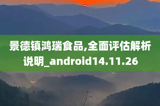 景德镇鸿瑞食品,全面评估解析说明_android14.11.26