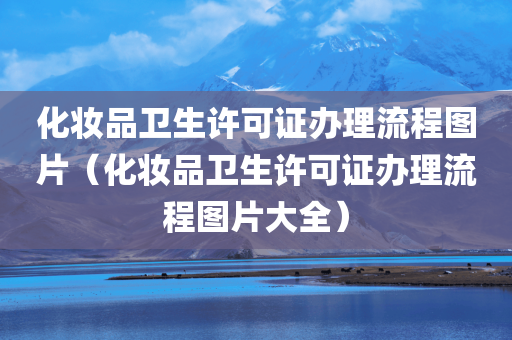 化妆品卫生许可证办理流程图片（化妆品卫生许可证办理流程图片大全）