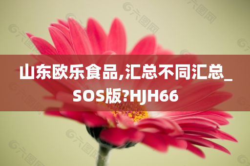 山东欧乐食品,汇总不同汇总_SOS版?HJH66