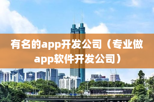 有名的app开发公司（专业做app软件开发公司）