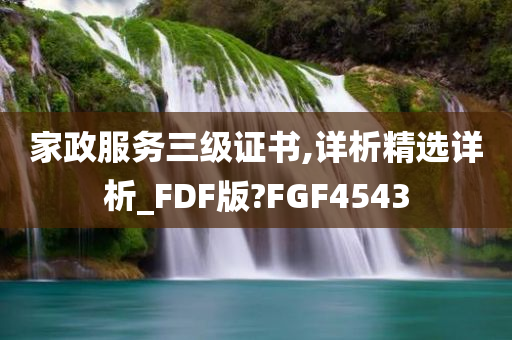 家政服务三级证书,详析精选详析_FDF版?FGF4543