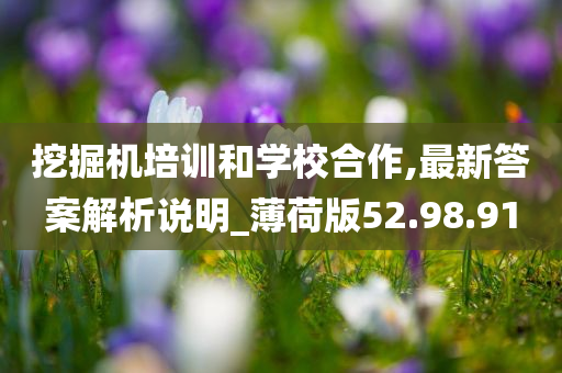 挖掘机培训和学校合作,最新答案解析说明_薄荷版52.98.91