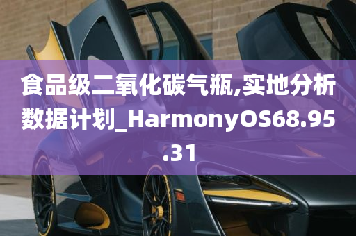 食品级二氧化碳气瓶,实地分析数据计划_HarmonyOS68.95.31